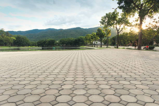 Best Local Driveway Pavers  in Onancock, VA